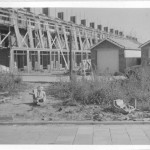 The roof structure under construction